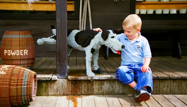 Dreng Og LEGO Hund Web